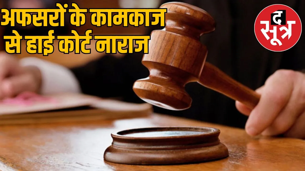 Bilaspur High Court angry over death cattle seeks answers officers