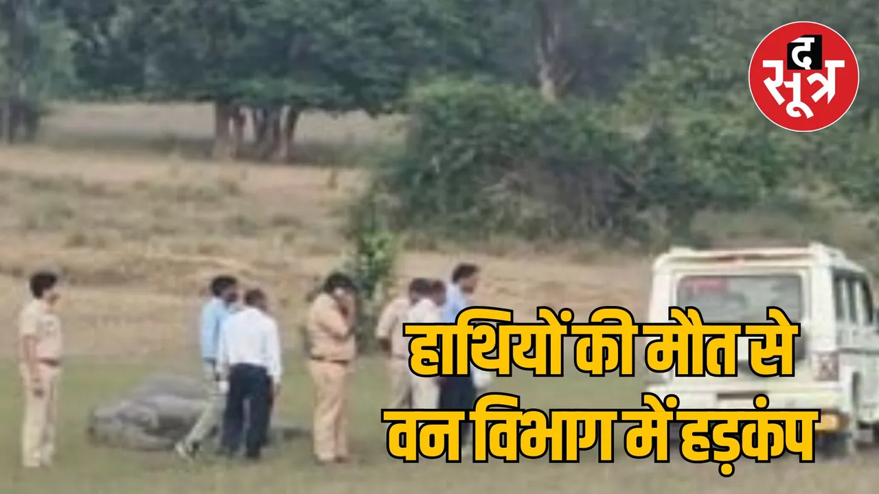 MP Umaria Bandhavgarh Tiger Reserve 4 elephants Suspicious death