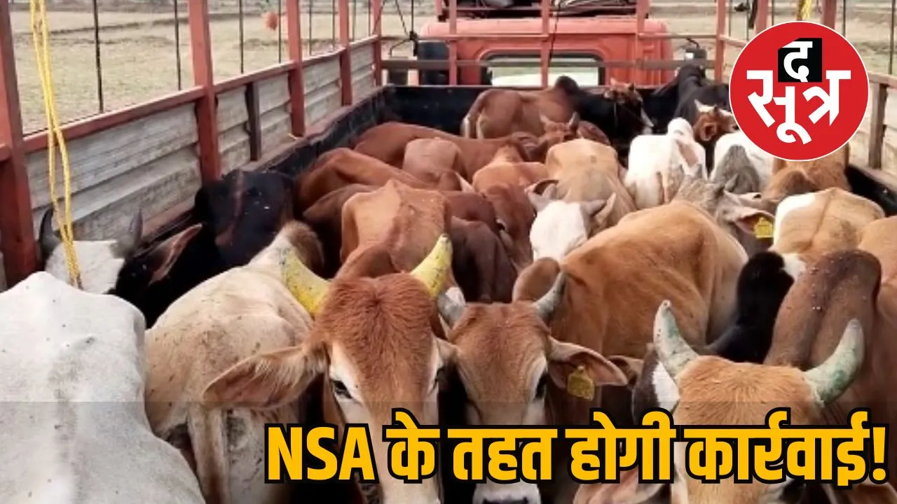 NSA.