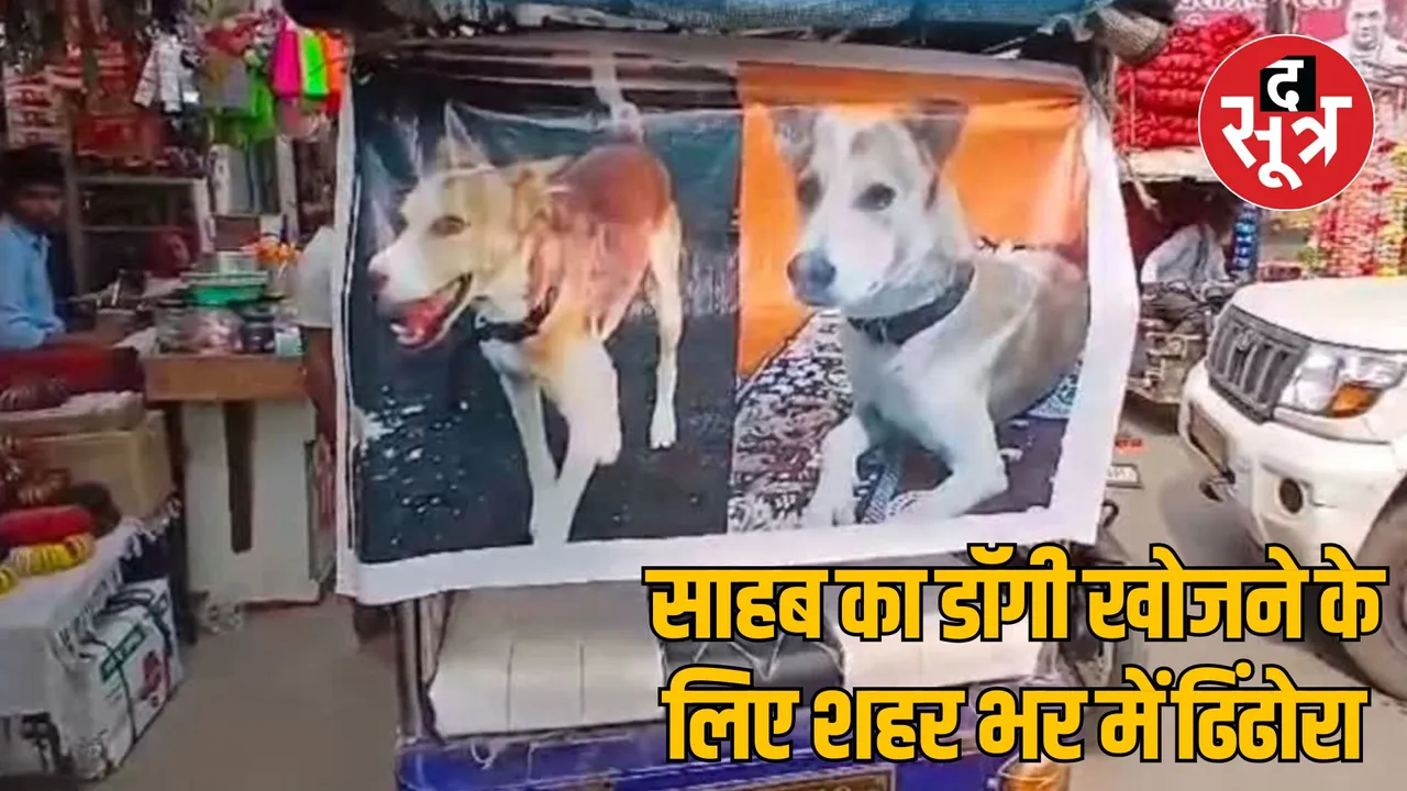 UP Sambhal Executive Officer's dog Tommy Announcement to find