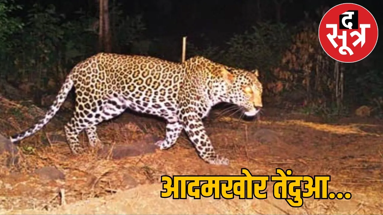 Man eating leopard movement Dhamtari district the sootr