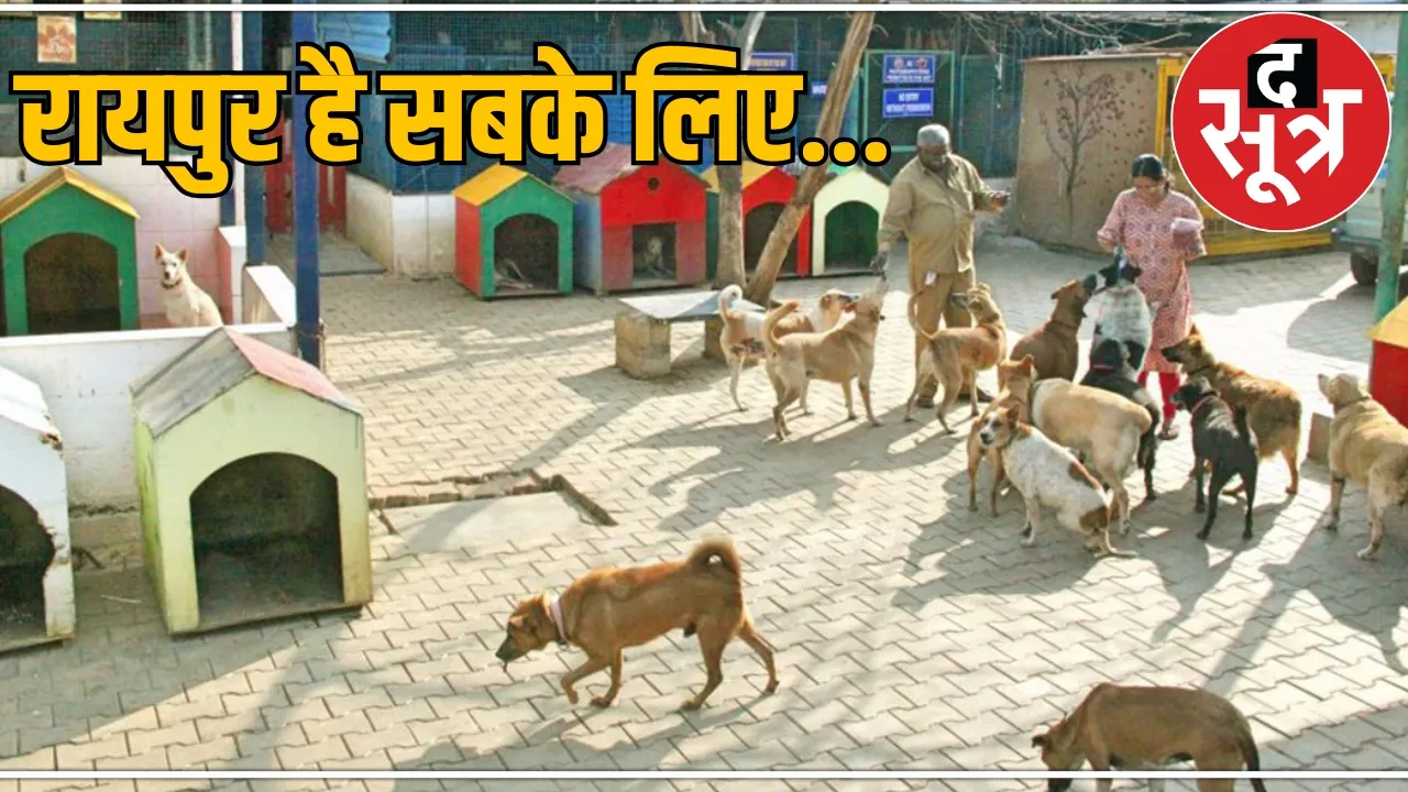 Paying Guest House for Pet Dogs in Raipur the sootr