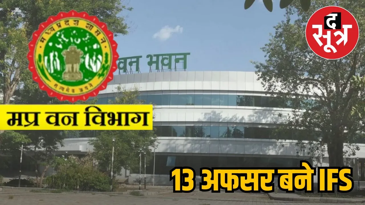 ifs in mp