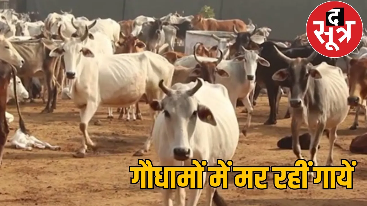 Vishnudev Sai Government Gaudham Scheme the sootr