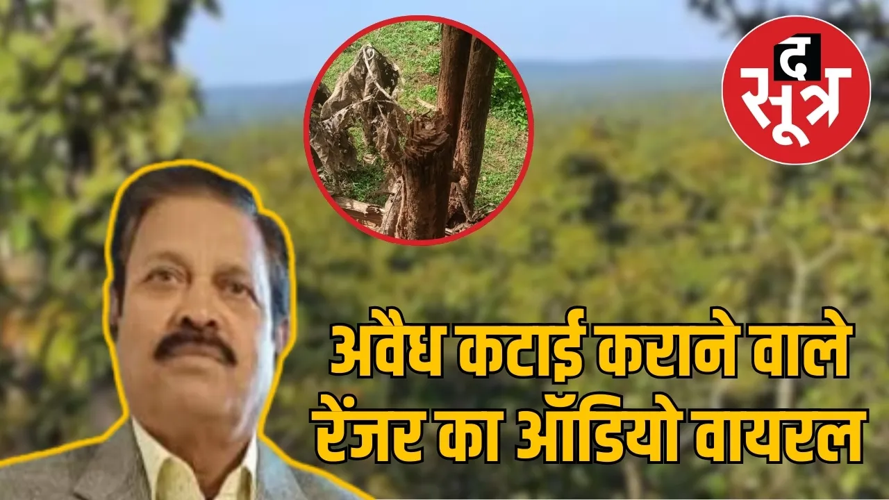 Illegal harvesting Chhatarpur forests audio goes viral