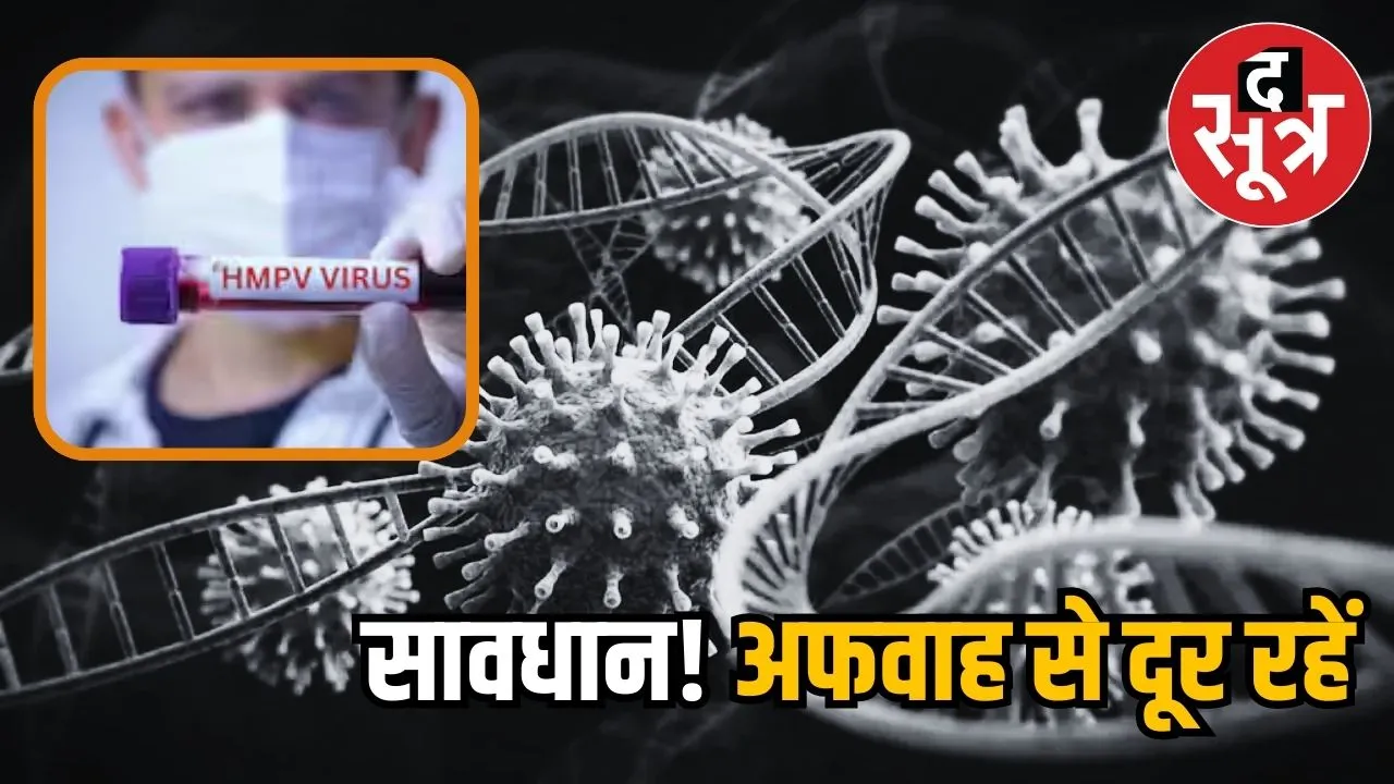hpvb virus