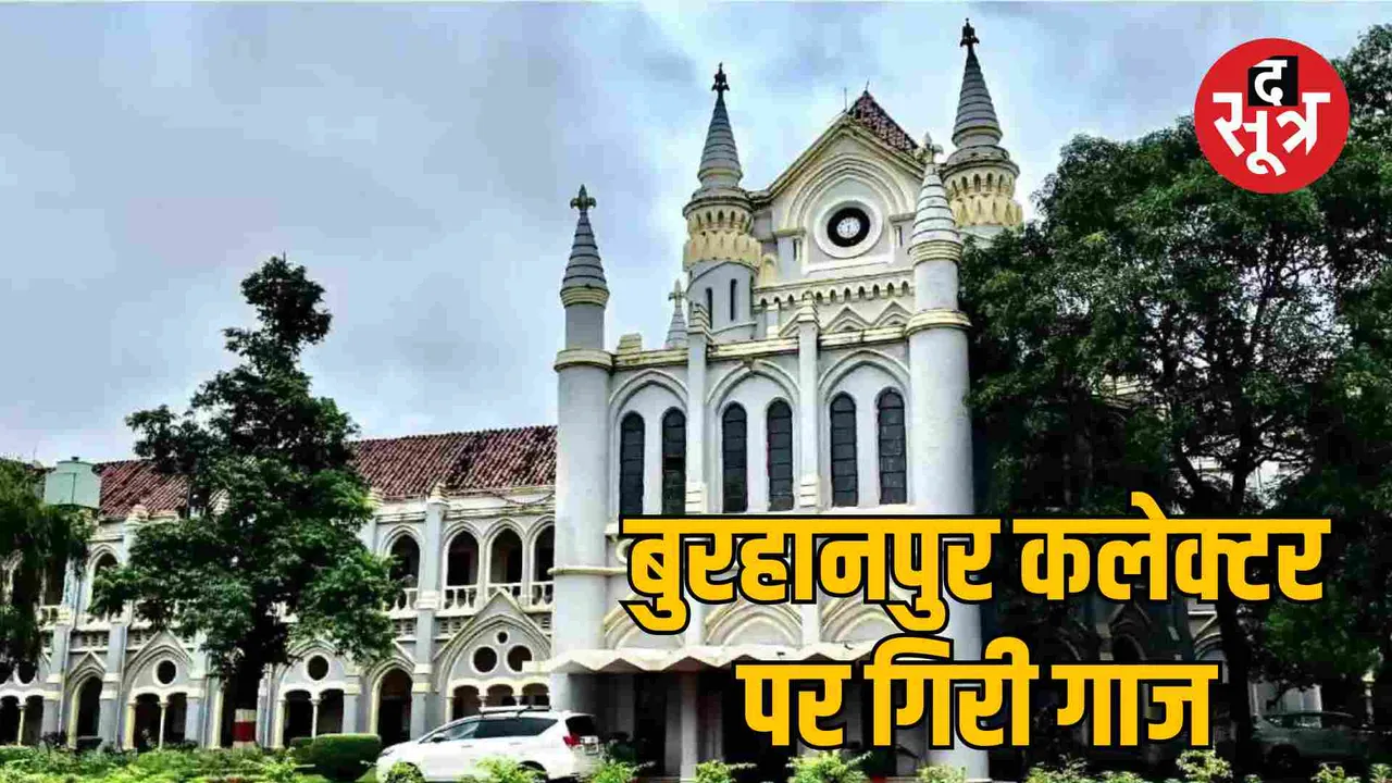 burhanpur illegal forest felling case jabalpur high court decision