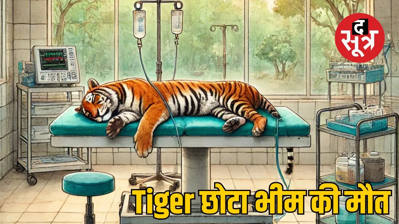 Tiger Chhota Bheem
