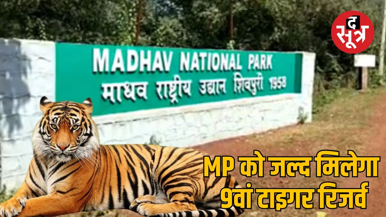 madhya pradesh 9th tiger madhav tiger reserve notification