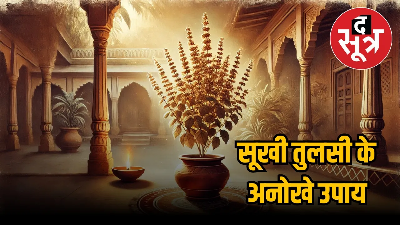 Tulsi ke Totke upaay 