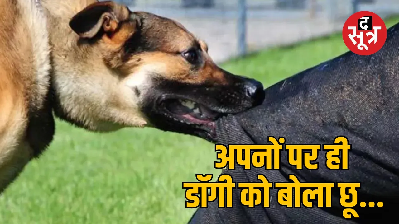 gwalior sister in law dog bite case family dispute