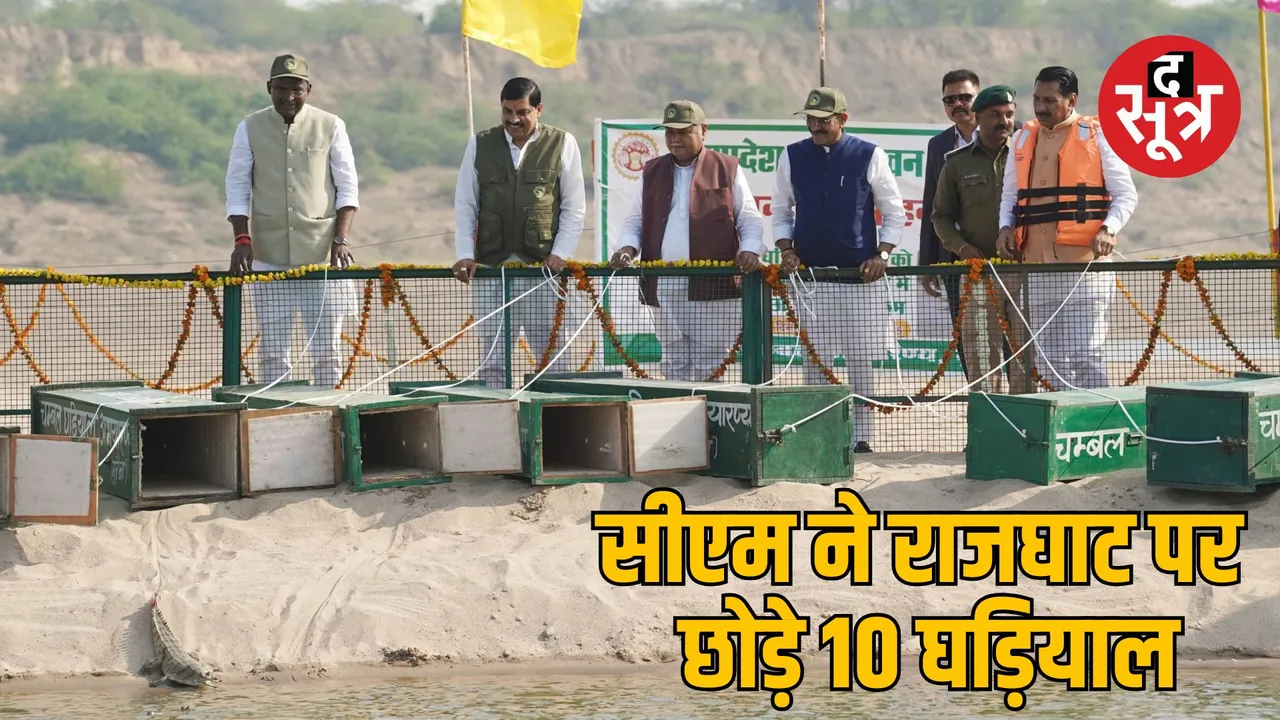 morena cm mohan yadav visit Chambal Sanctuary crocodile conservation