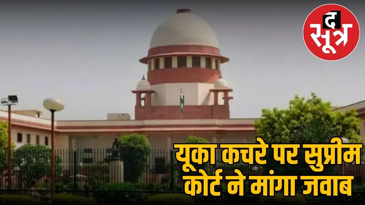 Yuccacase reaches Supreme Court