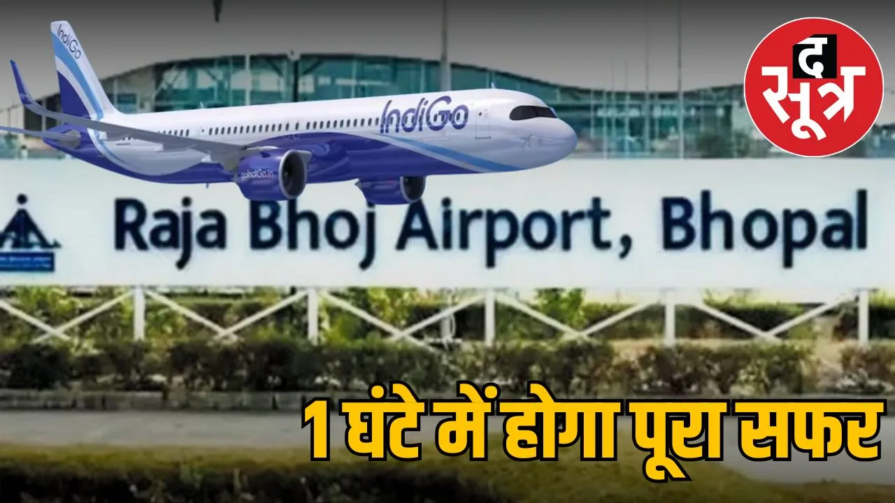indigo-airlines