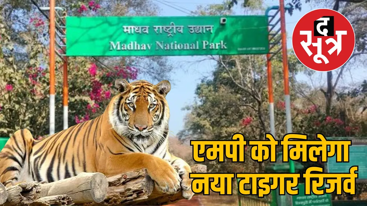 madhav tiger reserve chambal madhya pradesh tourism growth