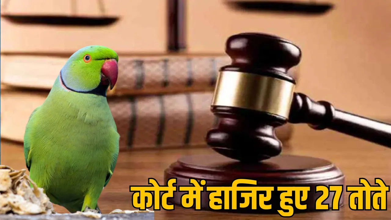 Khandwa Court orders to free 27 Red Rose Parakeet parrots