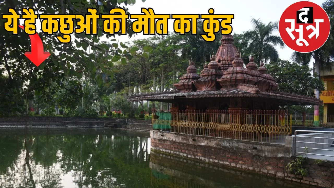 Death of turtles in Mahamaya temple Bilaspur the sootr