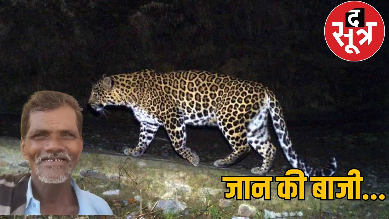 Grandfather saved grandson life from leopard jaws the sootr