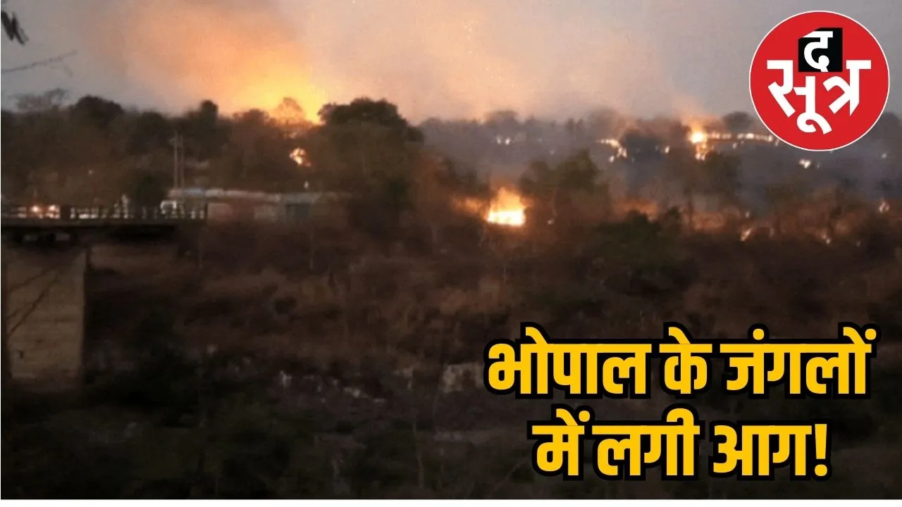 Bhopal fire 