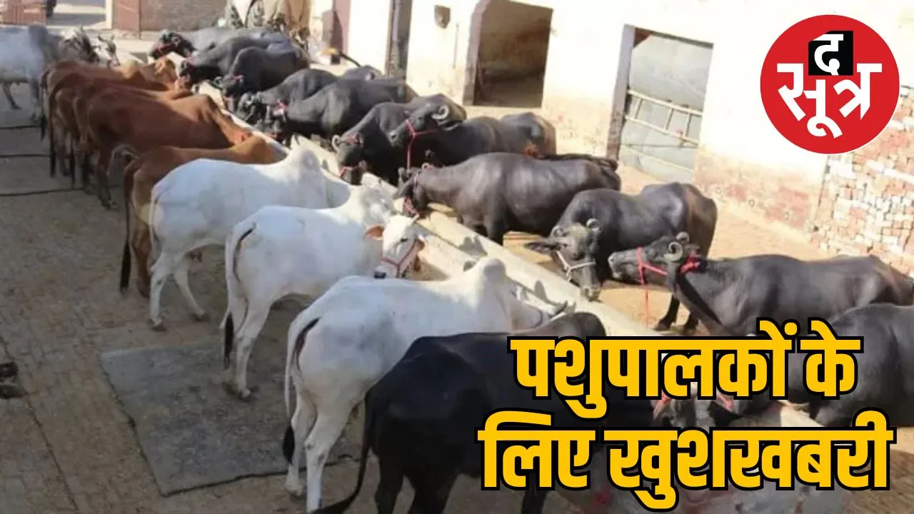 mp-dairy-subsidy