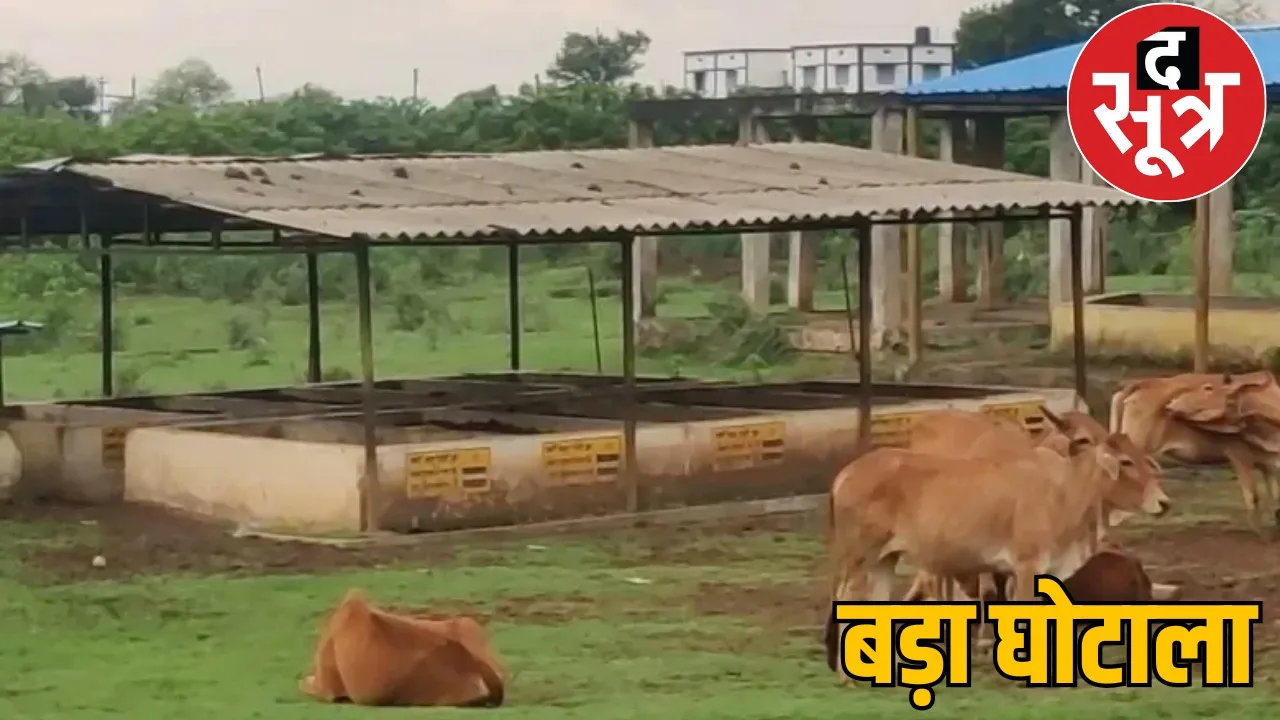 1175 crores spent on 24 schemes under Gothan Yojana the sootr