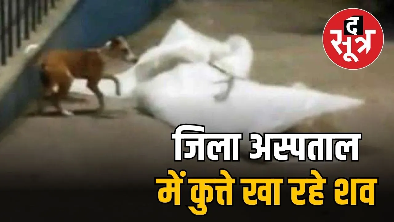narmadapuram-hospital-accident-dog-attack