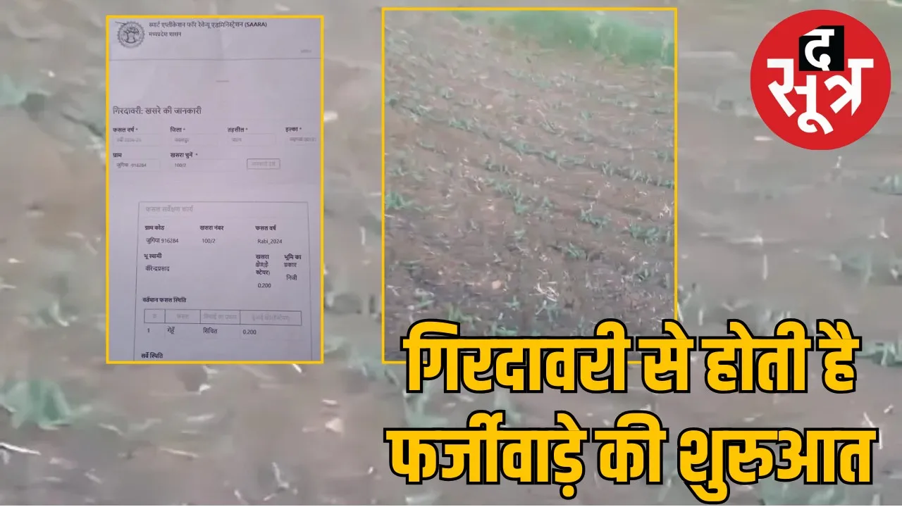 girdawari-urad-vs-wheat-fraud