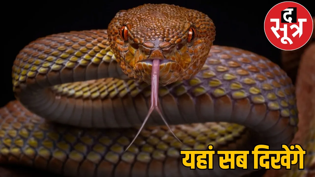 Bastar became Naglok many rare snakes including Takshak reside here the sootr
