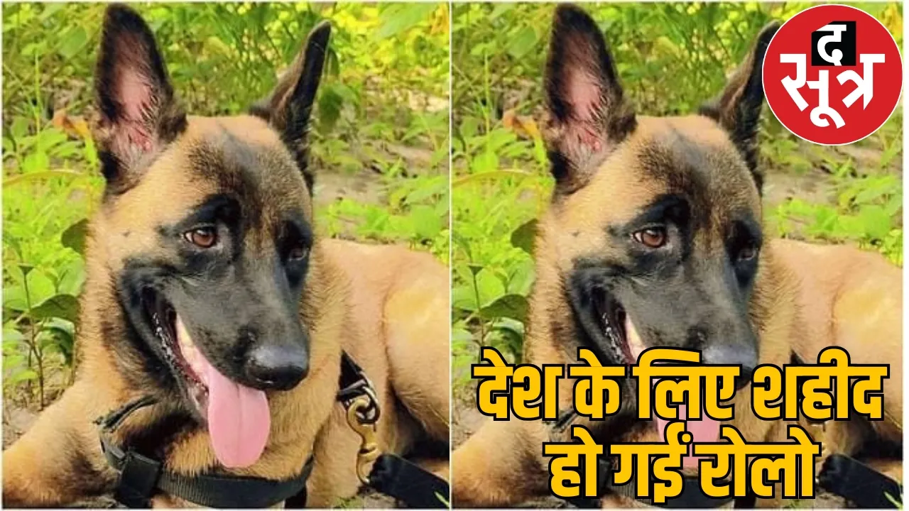 Dog Rollo martyred Karregutta hill expedition honoured with medal the sootr