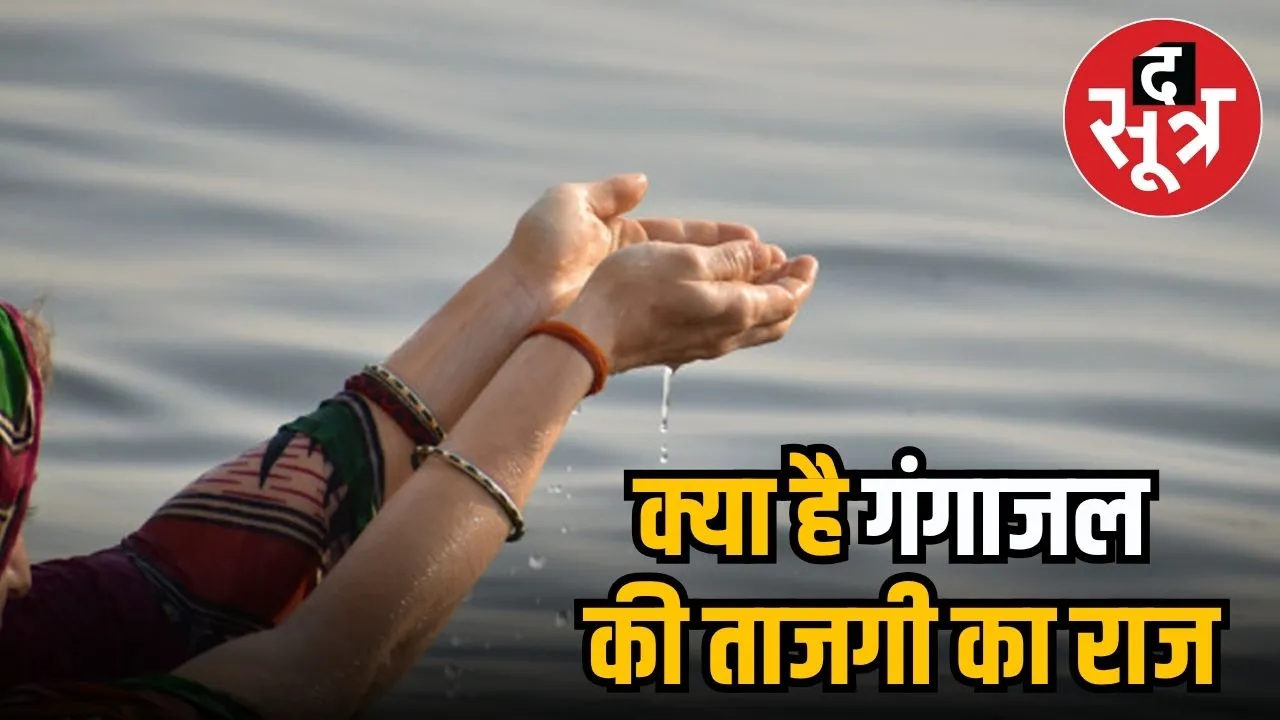 benefits of gangajaal