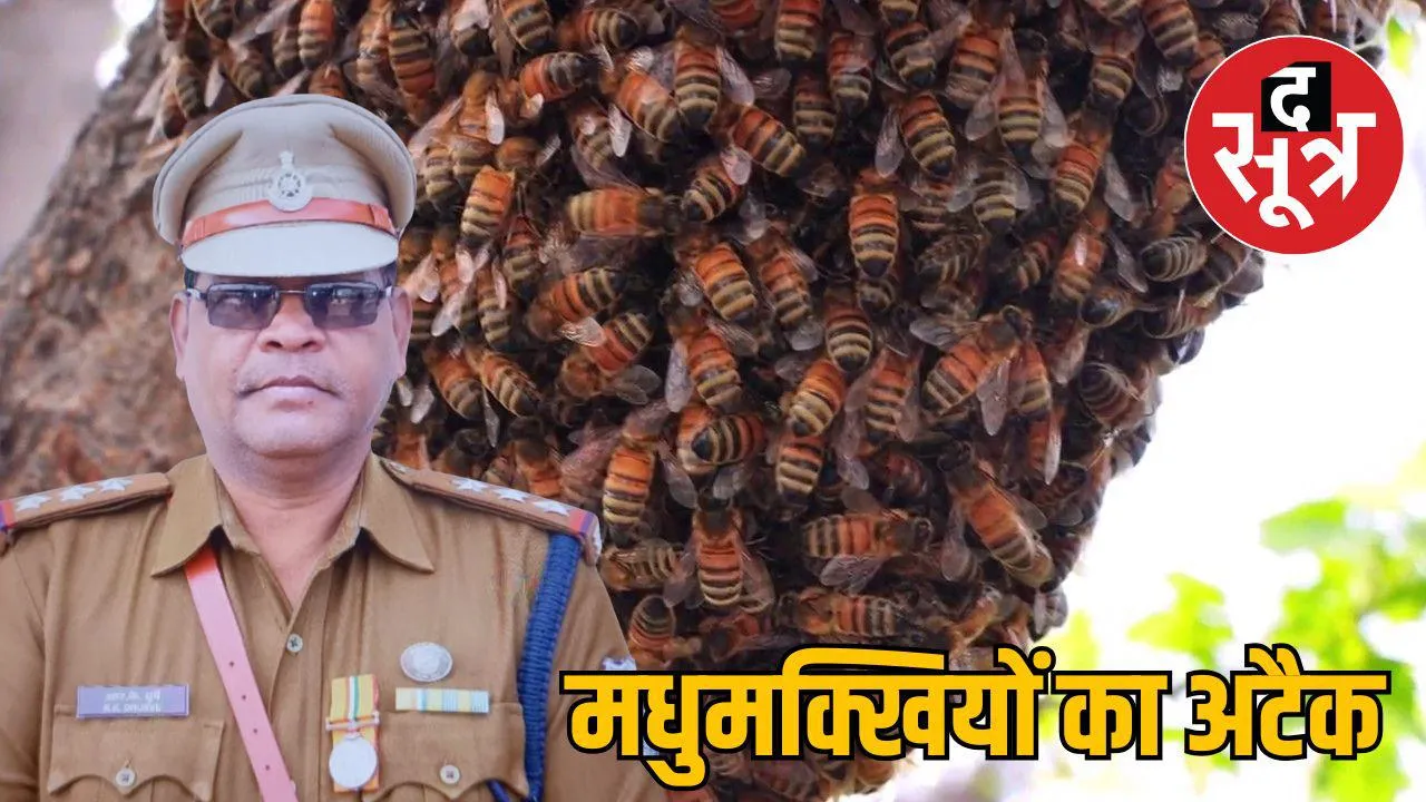inspector-dies-bee-attack