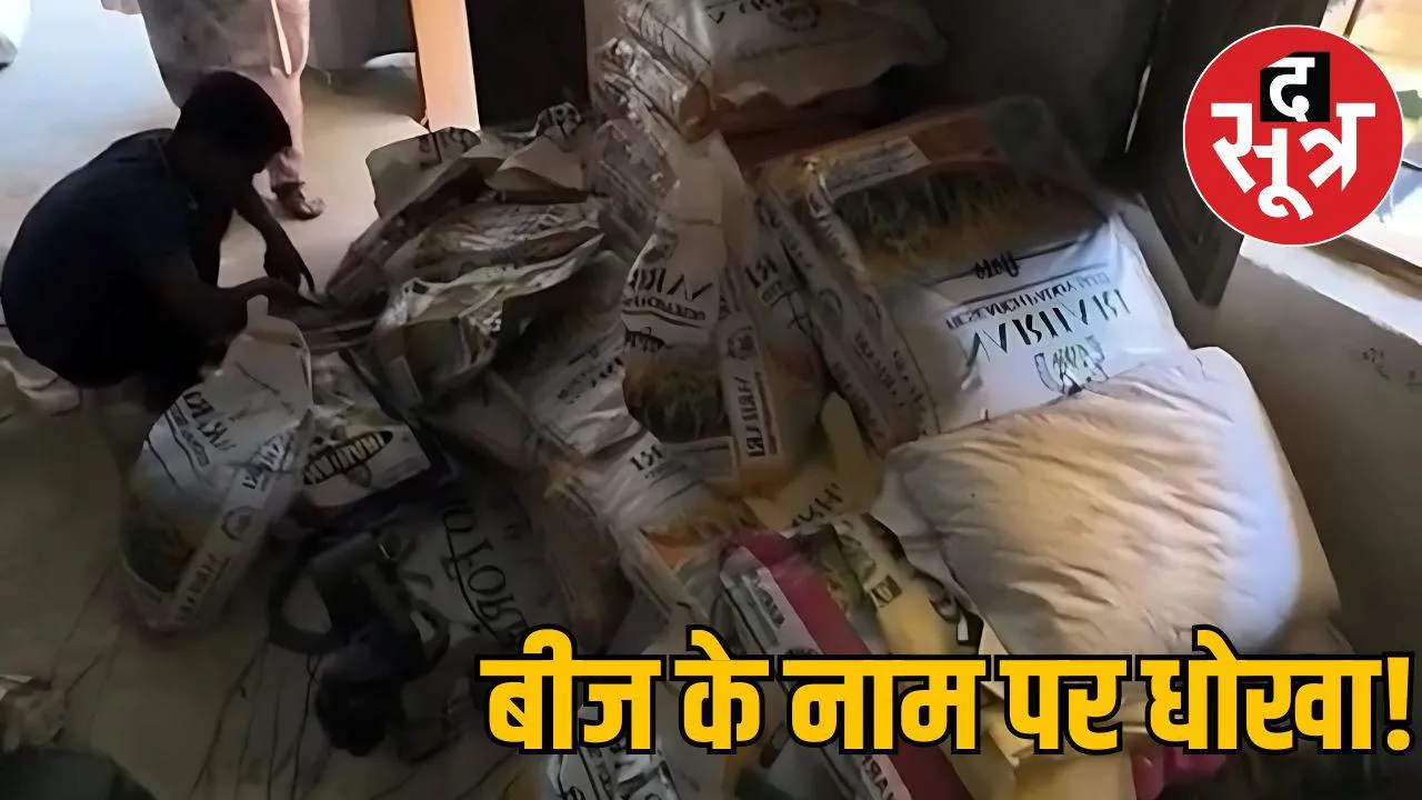 fake-paddy-seeds-raid-mp