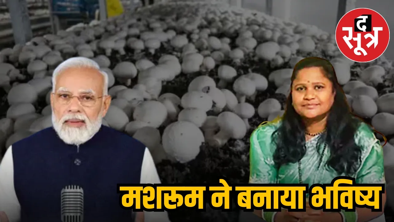 MUSHROOM SUMA UIKE PM MODI