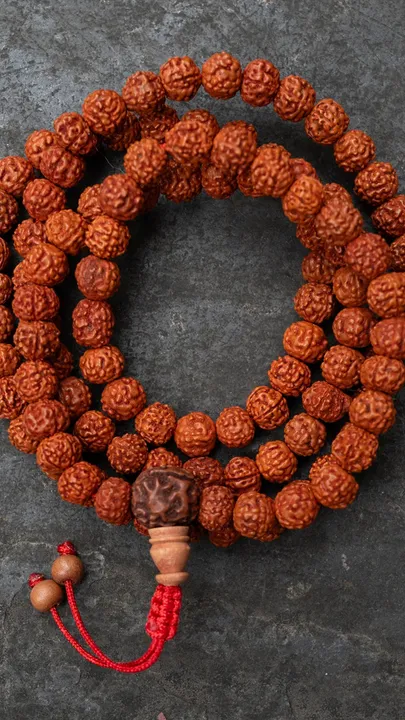 1 Rudraksha