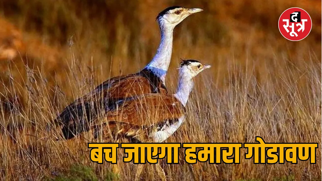 godavan