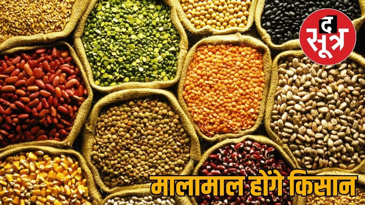 government give 11 thousand rupees per acre farmers growing pulses oilseeds the sootr