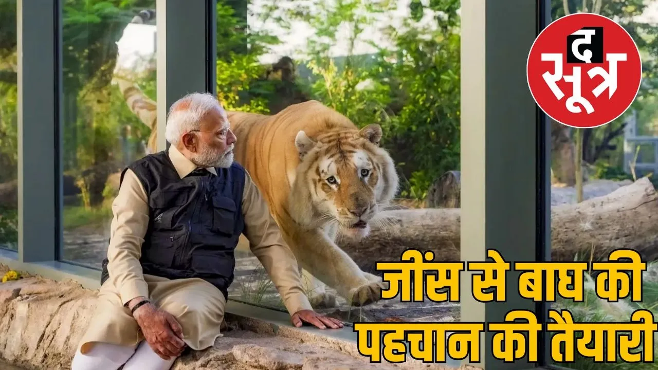 pm modi in vantara