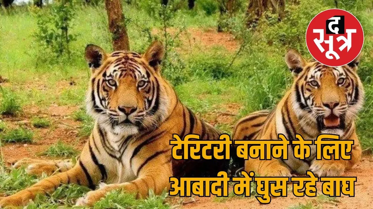 Sariska