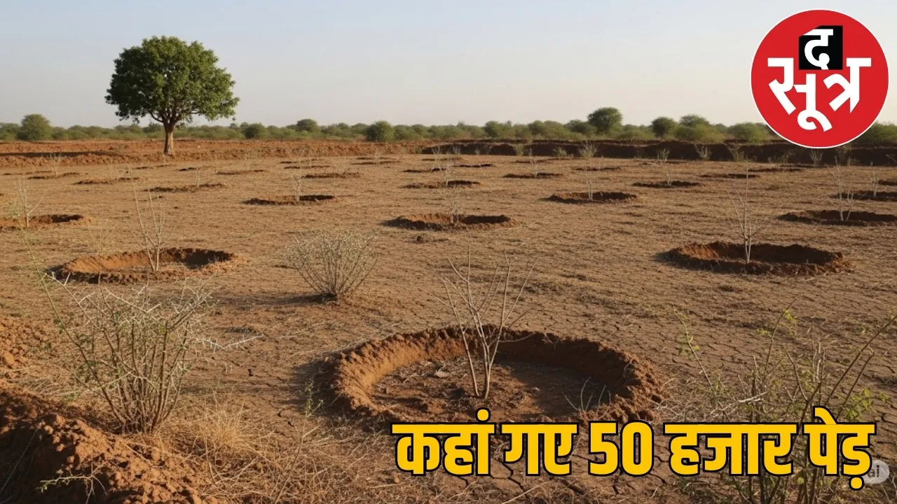 government planted saplings worth 3.5 crores 50 thousand teak amla bamboo trees disappeared the sootr