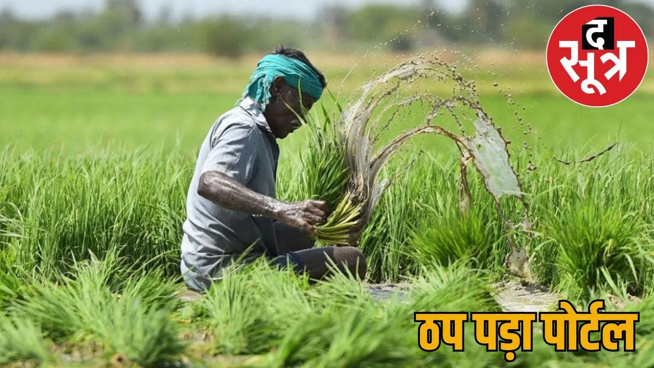 Kharif crop insurance server down thousands farmers troubled