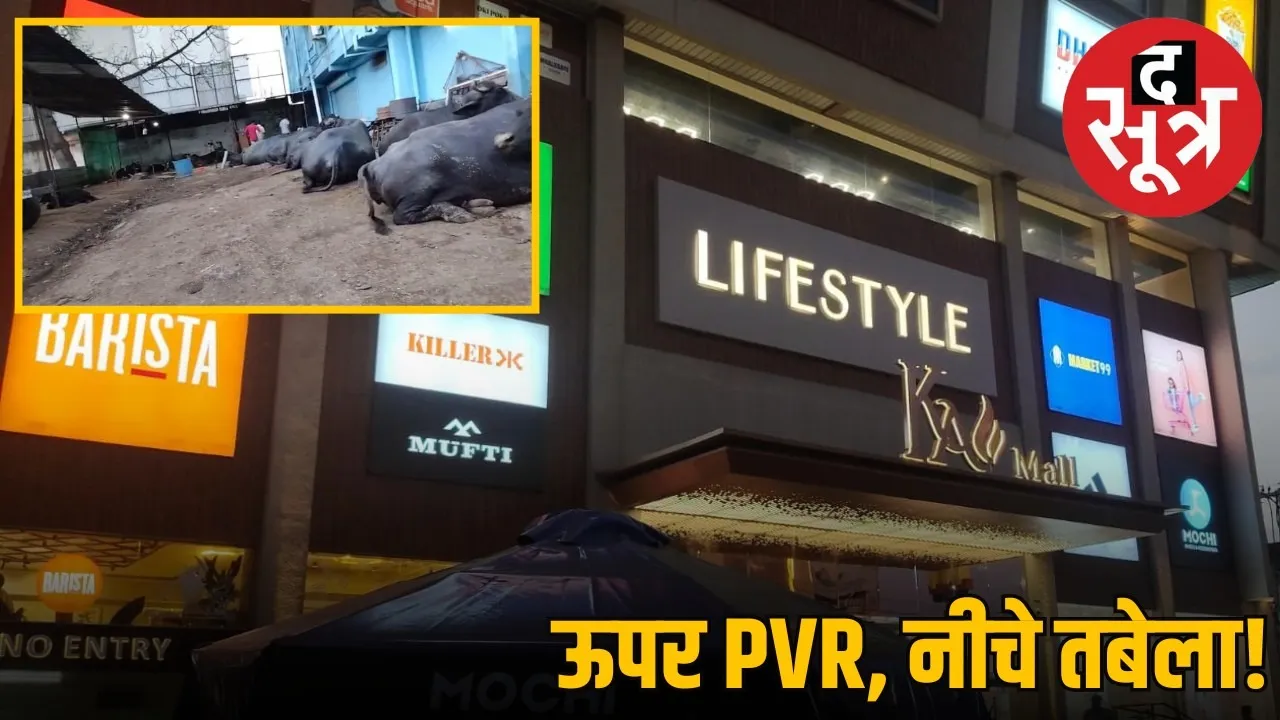 jabalpur-ka-mall-illegal-dairy