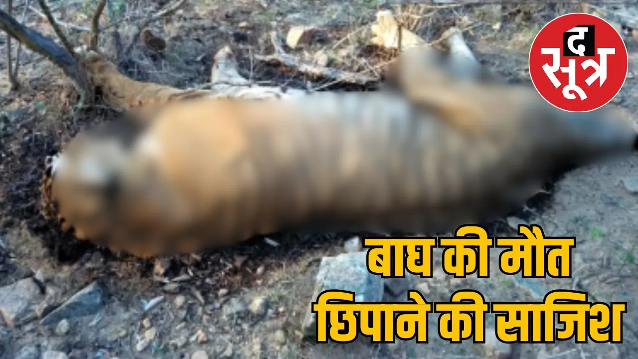 death of tiger