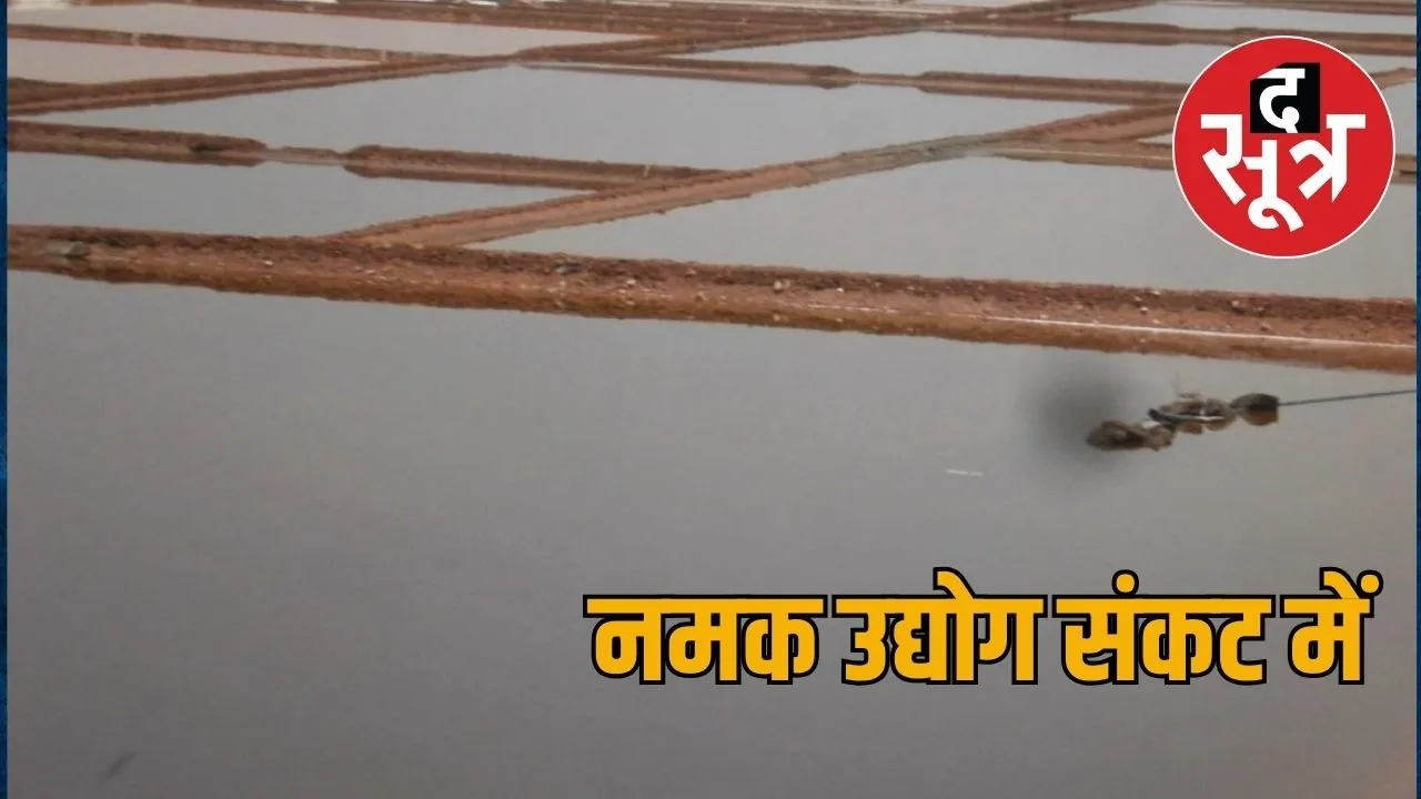 salt raj