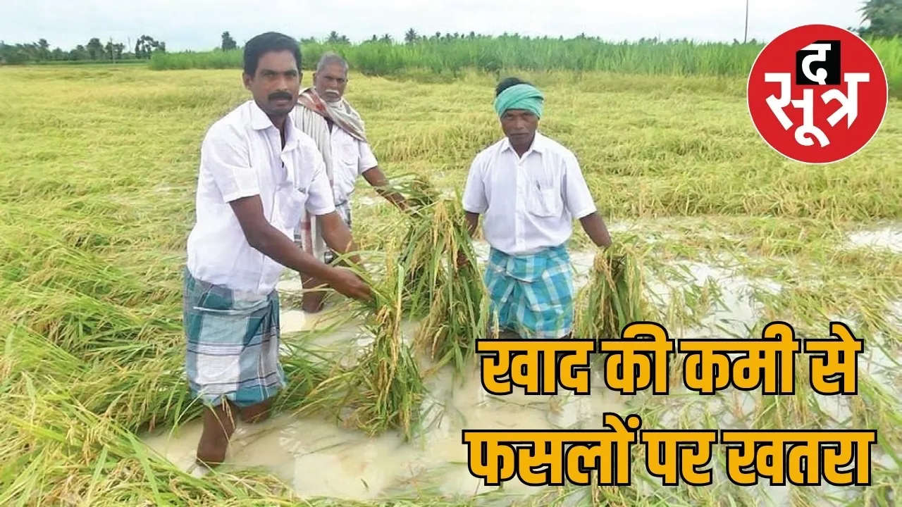 Farmers in trouble due to shortage of fertilizers in Chhattisgarh the sootr