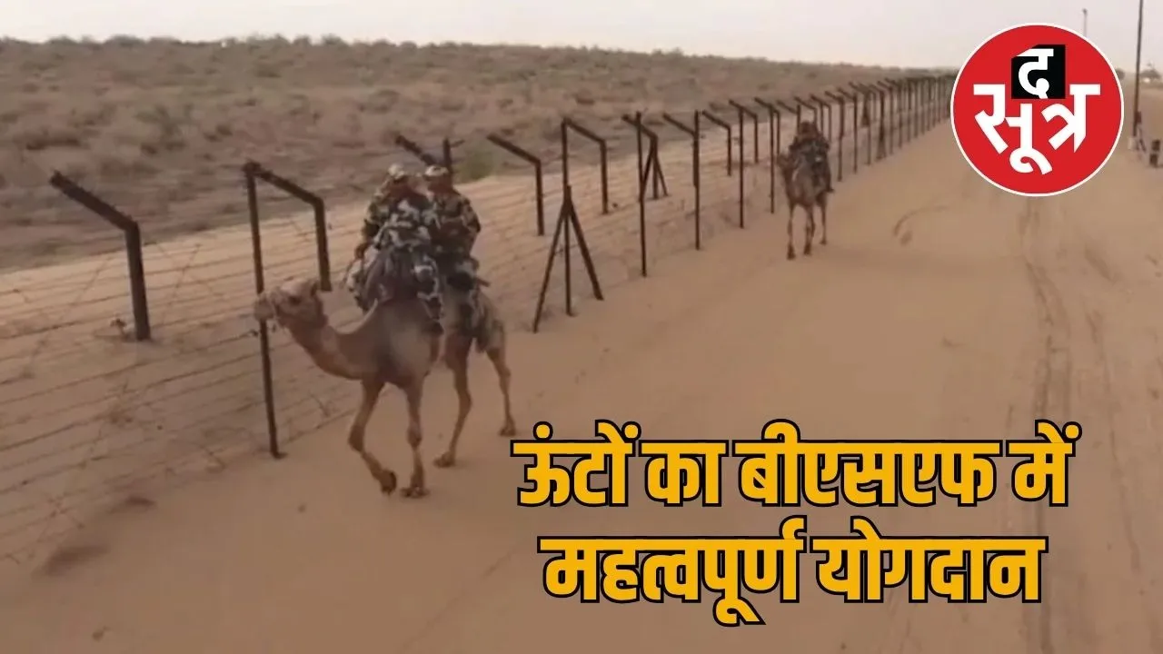 bsf on camel