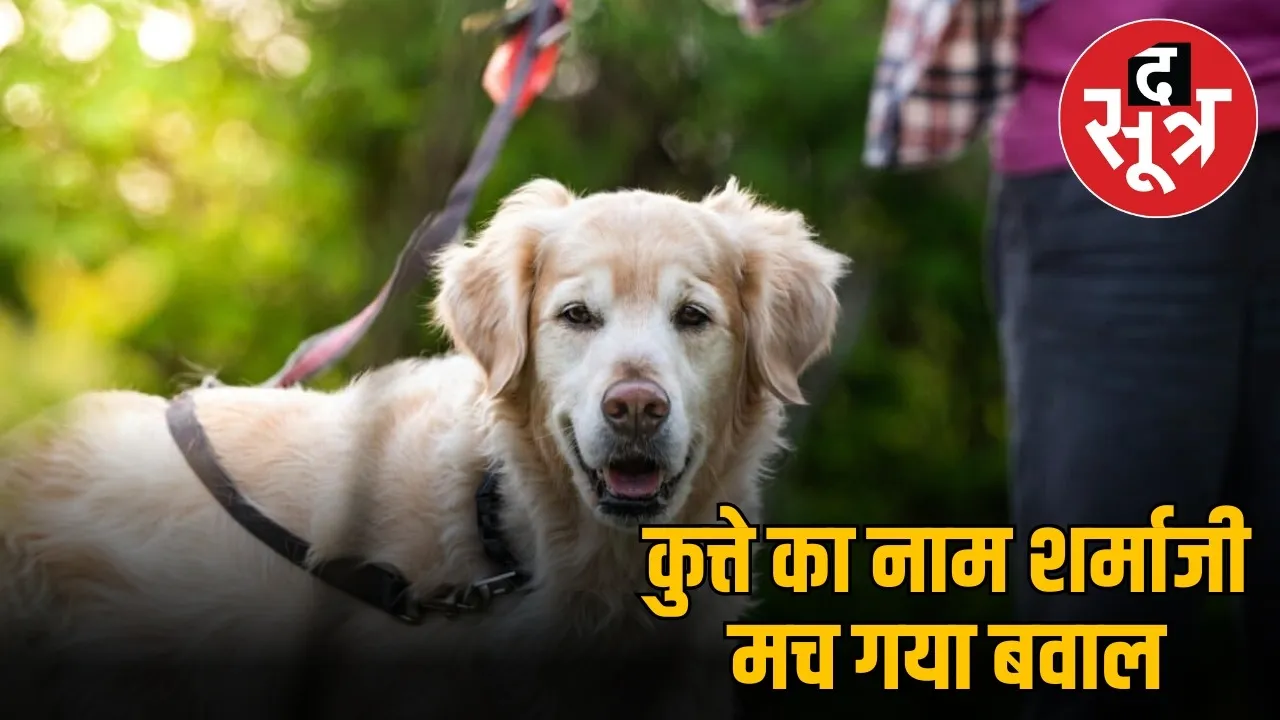 Indoor dog name sharmaji