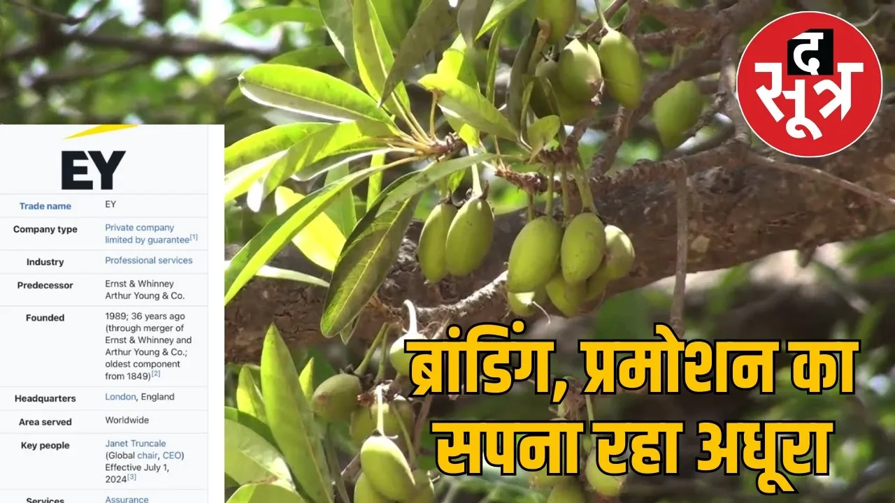 mahua-promotion-mp-bureaucracy-fascination-with-foreign-firms