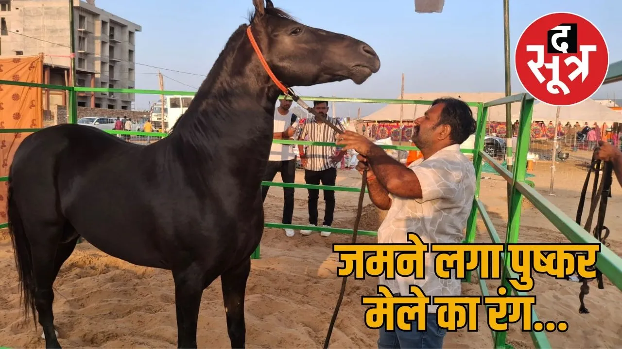 ghodi