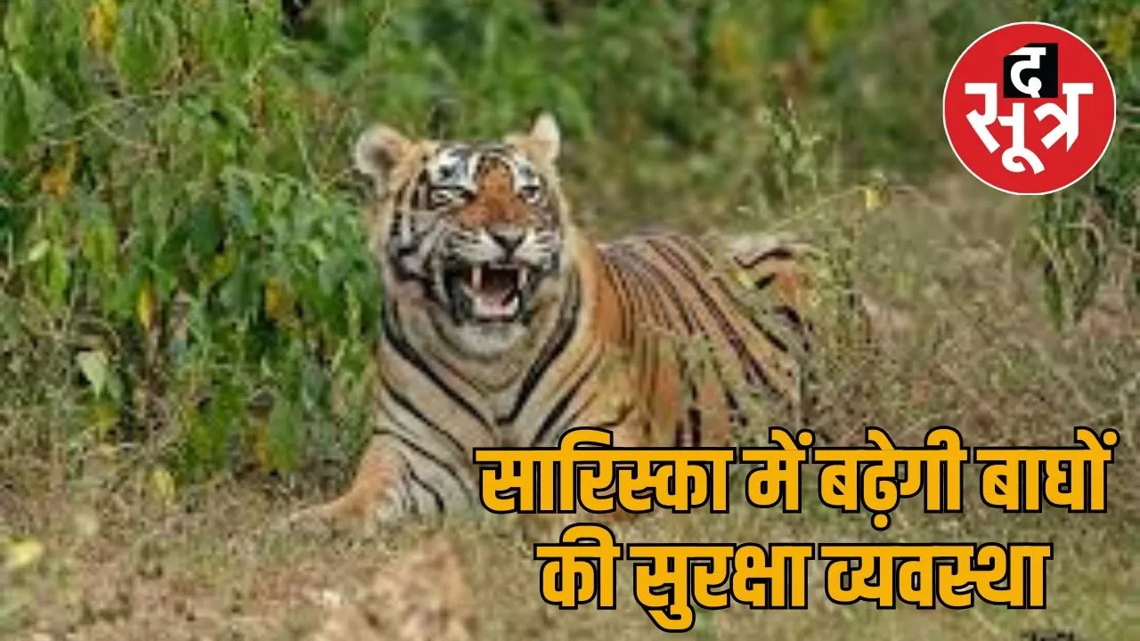 sariska