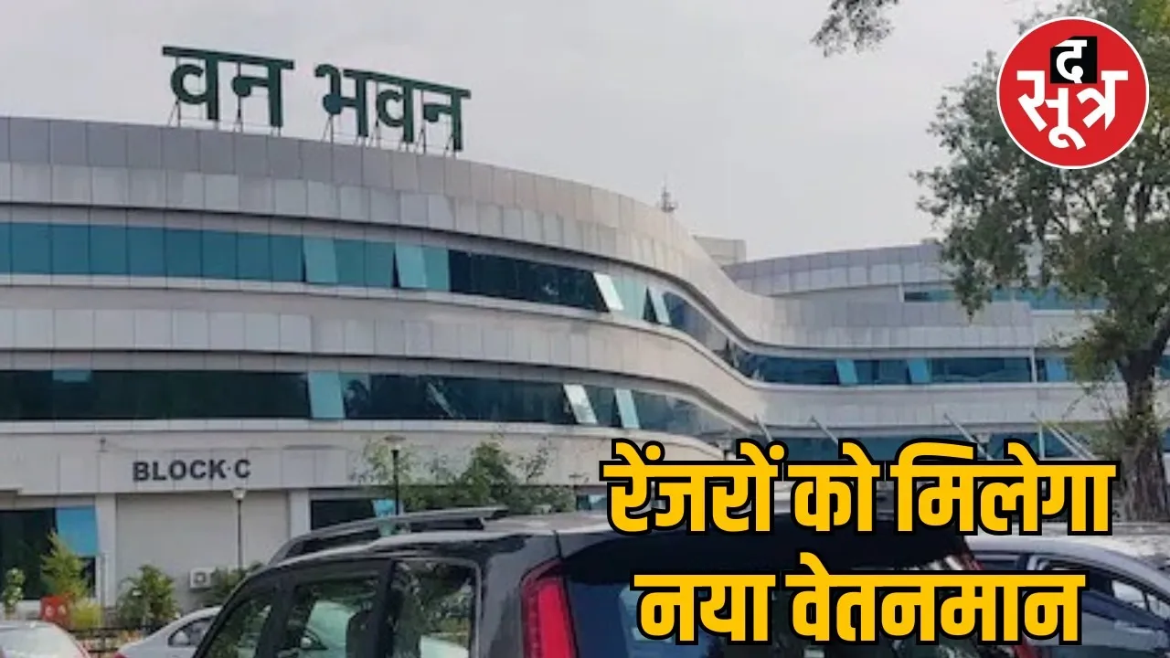 mp forest department